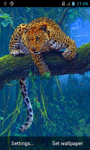 Leopard live wallpaper