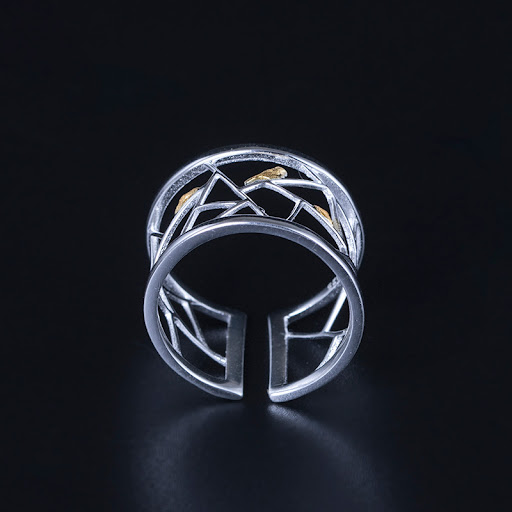 Title 5, Ungewöhnlicher breiter Ring für kleine Vögel. F...
