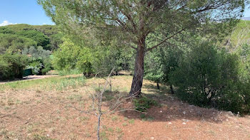 terrain à batir à Frejus (83)