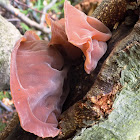 Wood ear