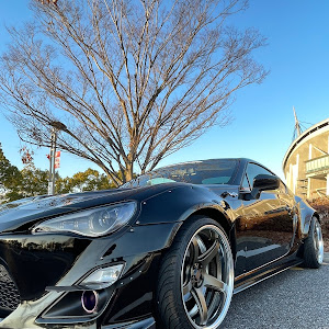 86 ZN6