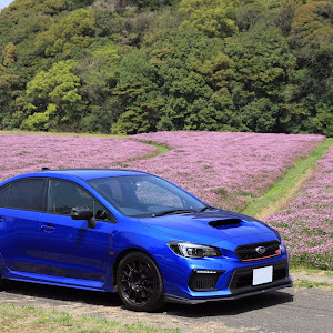 WRX STI