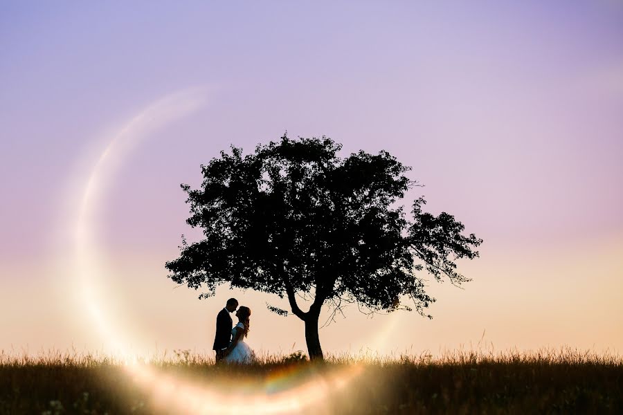 Photographe de mariage Birtalan Barna (birtalanfoto). Photo du 21 juin 2019