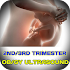 Guide to Ultrasound in Obstetrics and gynecology1.0