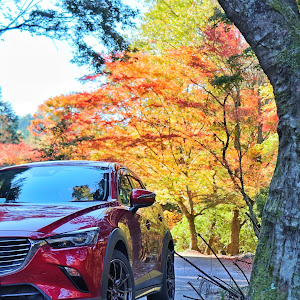 CX-3 DK5FW