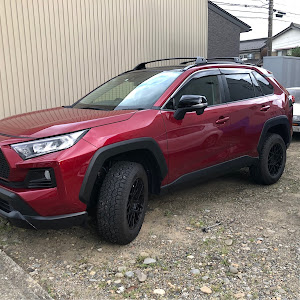 RAV4 MXAA54