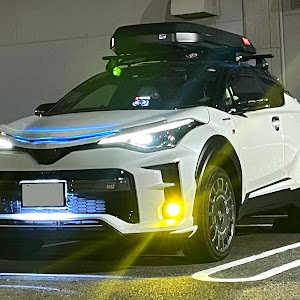 C-HR ZYX11