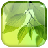 Leaf Live Wallpaper1.1.3