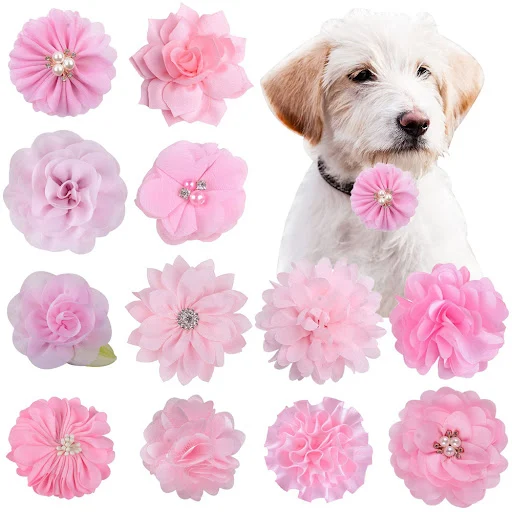 images slider number - 1