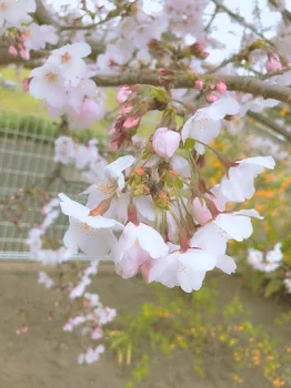 どんなお前でも受け入れる