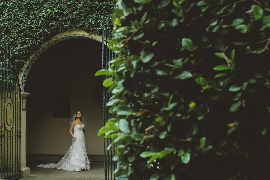 Fotografo di matrimoni Vladimir Liñán (vladimirlinan). Foto del 15 luglio 2015