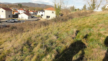 terrain à Charnècles (38)