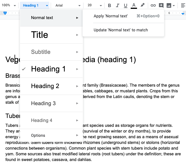 View of the Headings/Structure Dropdown in Google Docs