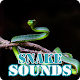 Download Snake Sounds Ringtone Collection For PC Windows and Mac 6.0.0