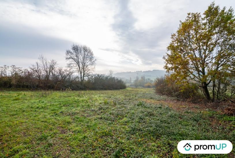  Vente Terrain agricole - 74 048m² à Molières (82220) 