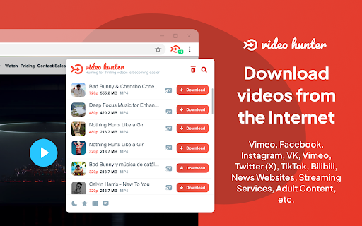 Video Hunter Downloader – व्हिडिओ डाउनलोडर