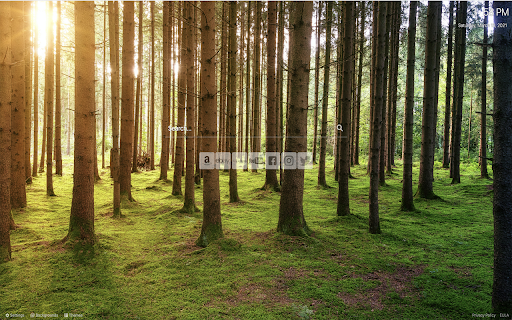 Nature Wallpaper Custom New Tab