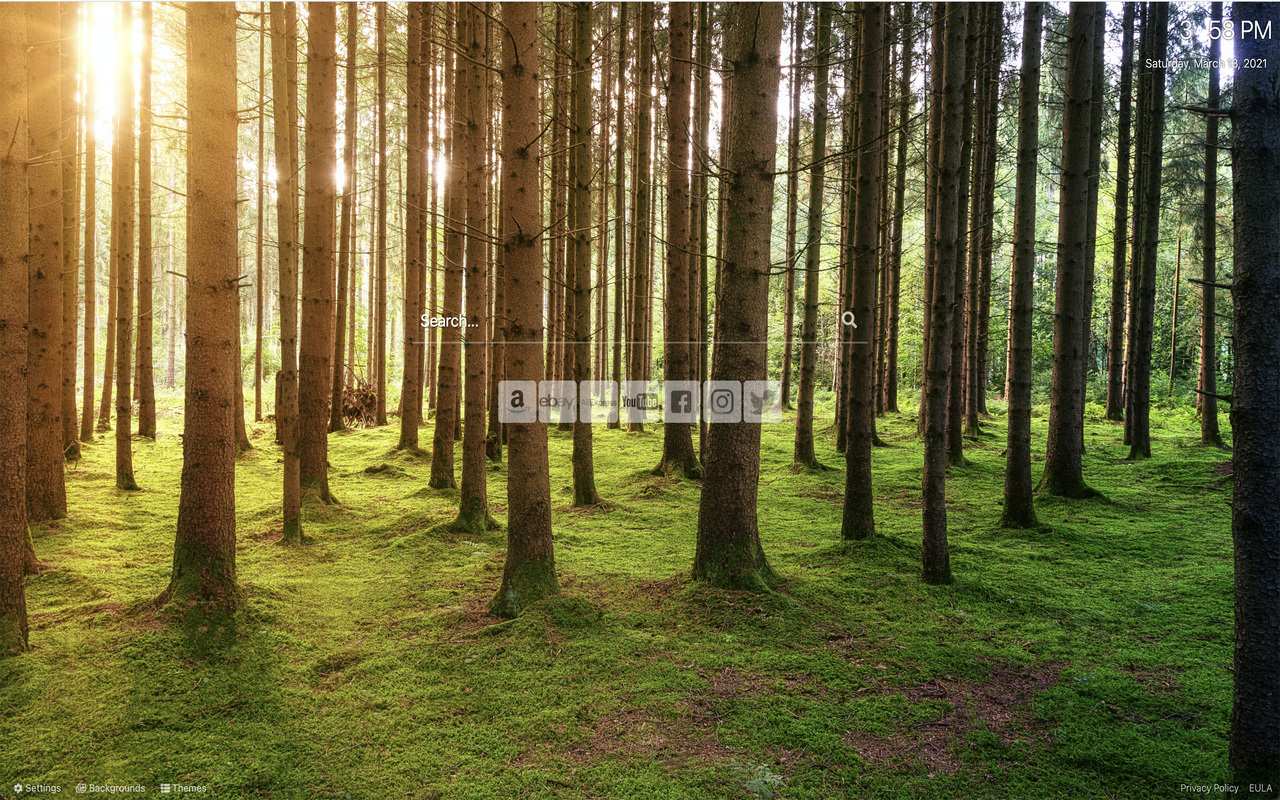 Nature Wallpaper Custom New Tab Preview image 1