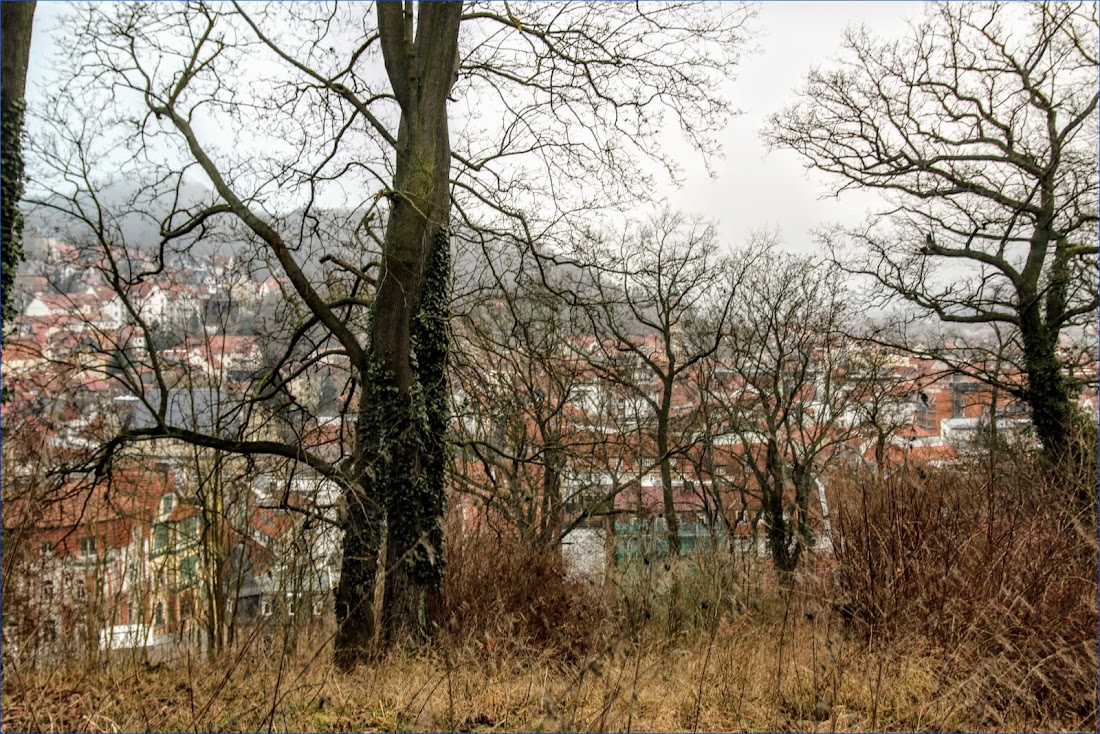 Тюрингенский лес (Thüringer Wald) и Айзенах в январе 2022.