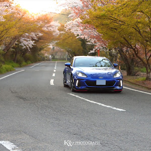 BRZ ZD8