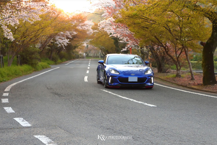 BRZの根来寺大門・桜巡り・桜とコラボ・桜トンネル・桜ロードに関するカスタム事例の投稿画像1枚目
