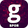 Gzt Spor icon