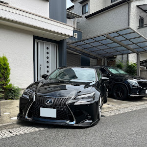 GS GRL10