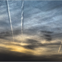 -Scie persistenti- di 