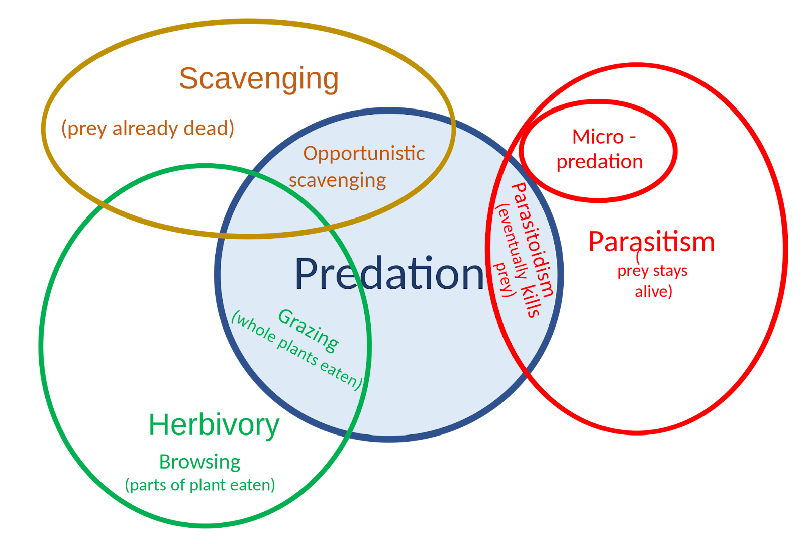 Venn-diagram shows how scavenging, herbivory, and parasitism relate to predation using overlapping circles. The scavenging circle with text reading “prey already dead” overlaps with predation in a region labeled “opportunistic scavenging”. Parasitism labeled with the text “prey stays alive” and containing the smaller circle of micropredation overlaps with predations under the label “parasitoidism: eventually kills prey”. Herbivory includes browsing, defined as “parts of plant eaten” and overlaps predation with grazing or whole plants eaten.