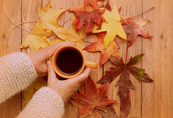 Un caldo autunno di Furlissima