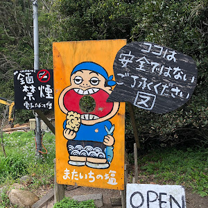 ゴルフ R
