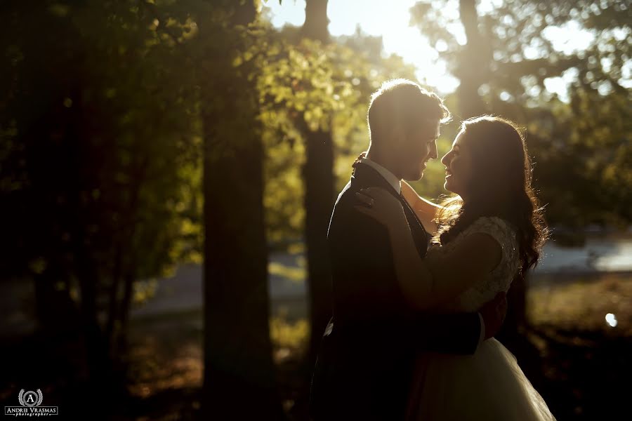 Wedding photographer Andrei Vrasmas (vrasmas). Photo of 13 September 2016