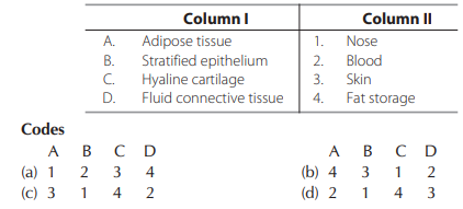 Connective Tissues