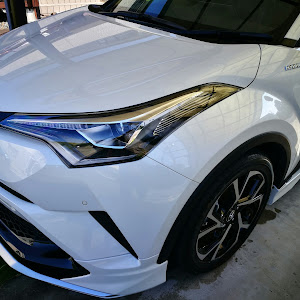 C-HR ZYX10