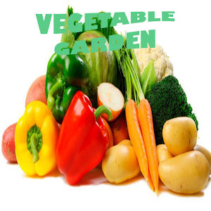 Download Design Of Vegetable Garden For PC Windows and Mac