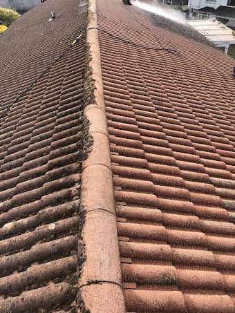 Roof cleaning  album cover