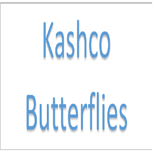 Kashco Butterflies