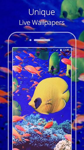 Undersea World Live wallpaper