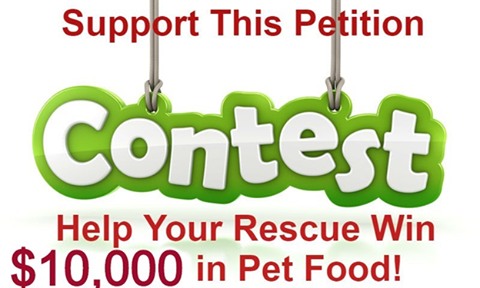 Image may contain: possible text that says 'Support This Petition Contest Help Your Rescue Win $10,000 in Pet Food!'