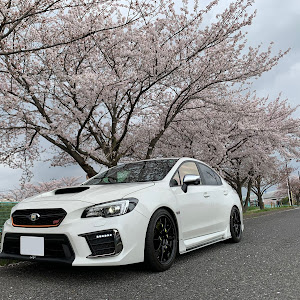 WRX STI VAB