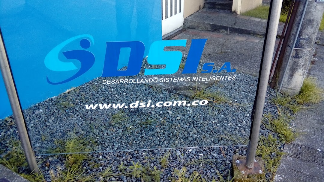 DSI S.A.