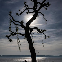 Aspettando la primavera di 