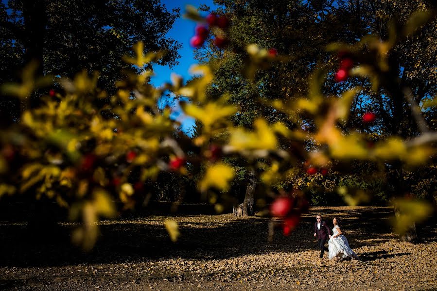 Photographe de mariage Andrei Dumitrache (andreidumitrache). Photo du 21 août 2019