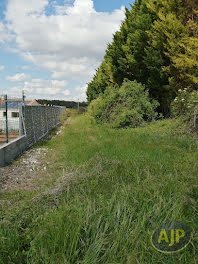 terrain à Saint-Laurent-de-Cognac (16)