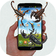 Scorpion run in phone prank  Icon