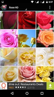 How to download Rose Flower HD Wallpapers patch 1.0 apk for android