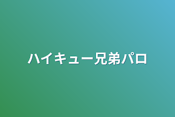 ハイキュー兄弟パロ