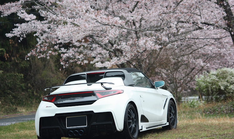 S660のドライブ・桜と愛車のコラボ🌸・奥矢作に関するカスタム事例の投稿画像3枚目