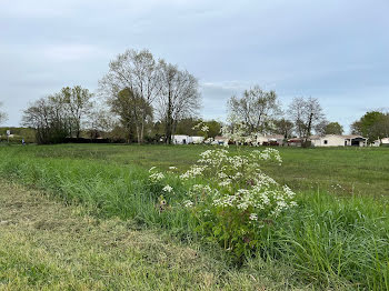 terrain à Margaux (33)