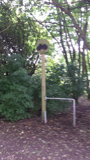 Cycle Marker 2